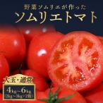 トマト 大玉 2kg~3kg ×2 レッドアップ