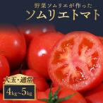 トマト 大玉 4kg~5kg レッドアップ