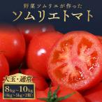 トマト 大玉 4kg~5kg ×2 レッドアップ