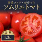 トマト 大玉 1.3kg