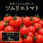 ミニトマト ダイヤ 3kg