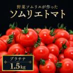 ミニトマト プラチナ 1.5kg