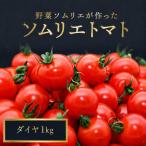 ミニトマト ダイヤ 1kg