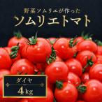 ミニトマト ダイヤ 4kg
