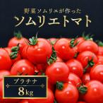 ミニトマト ダイヤ 8kg