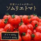 ミニトマト 食べ比べ800g プラチナ&ダイヤ