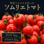ミニトマト 食べ比べ2kg