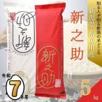 ★7日以内でスピード発送★ 令和7年産