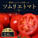 トマト 大玉 2.6kg