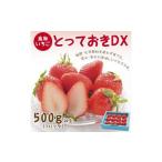 ふるさと納税 とっておきDX 500g 鳥取いちご【とみハウス】 鳥取県鳥取市