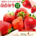 あまおう 約250g×4パック