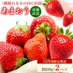 いちご あまおういちご エコ農産品 約250g×2パック
