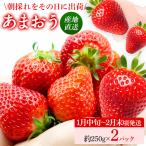 いちご あまおういちご エコ農産品 約250g×2パック
