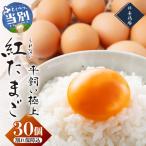 紅たまご 30個入