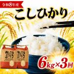 白米 こしひかり 精米 ブランド米 定期便