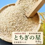 訳あり 令和8年度 新米 産とちぎの星 玄米真空パック 約4kg