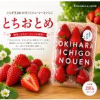 いちご とちおとめ 1120g