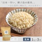 種子島 玄米 コシヒカリ 3kg