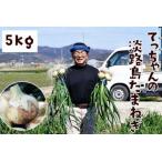 fu.... налог .. Chan. Awaji Island лук репчатый 5kg| носитель информации ... обивка . это сельское хозяйство дом san ......-.[ лук репчатый ]! Hyogo префектура юг ... город 