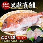 養殖真鯛 まるごと 1尾
