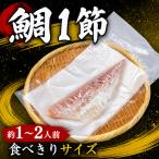 養殖真鯛 1節