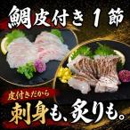 養殖真鯛 1節