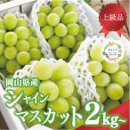 シャインマスカット 大3-5房 計2.4kg~