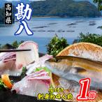 カンパチ 1節
