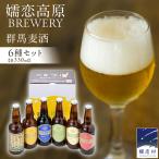 クラフトビール 群馬麦酒 6本 セット