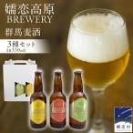 群馬麦酒3本セット ビール クラフトビール