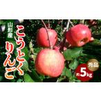 ショッピングふるさと納税 梨 ふるさと納税 山形市産 こうとくりんご 5kg  FZ20-521 山形県山形市