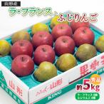 ふじりんご ラ フランス 詰合せ 5kg