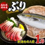 ブリ 1節