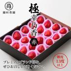 園村苺園 ★糖度13度以上保証★ブランド苺