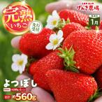 よつぼし 約280g×2P