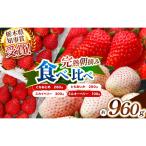 いちご4品種 食べ比べセット 960g