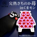 園村苺園 完熟さちのか苺 in くまモン_約500g_U74-0052_01