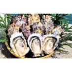 能登穴水の牡蠣 殻付き 加熱用 5kg