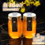 蜂蜜 ローハニー 生はちみつ 600g×2本