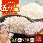 白米 もち麦セット さがびより3kg キラリモチ 300g