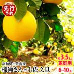 まる庄果樹園 楠瀬さんの土佐文旦 約3.5kg
