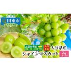 ふるさと納税 1615R_【先行予約】 おおいたの豊潤シャインマスカット約2kg 令和7年出荷分 大分県国東市