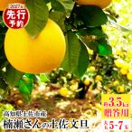 まる庄果樹園 楠瀬さんの土佐文旦 用大玉 約3.5kg