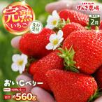 おいCベリー 約280g×2P