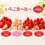 いちごの極み 4種類食べ比べ