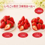 いちごの贅沢 3種類 食べ比べ