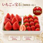 いちごの宝石 2種類食べ比べ 共通返礼品