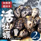 殻付き 生牡蠣 加熱用 2kg
