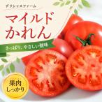 トマト マイルドかれん 訳あり 5kg