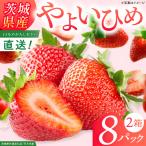 いちご やよいひめ イチゴ 苺 2箱